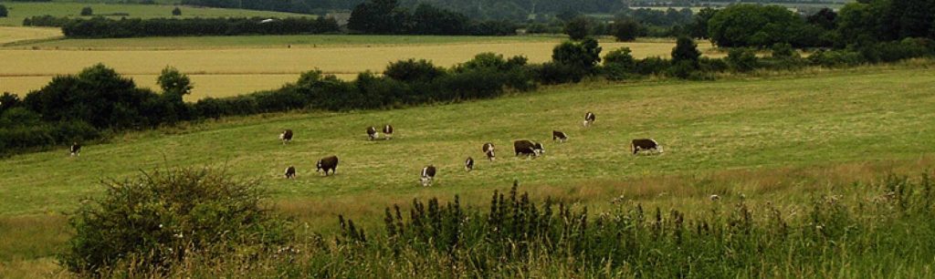 banner Panoramic view of Wittenham Clumps, Oxfordshire, perfect for group day trips with London coach hire.